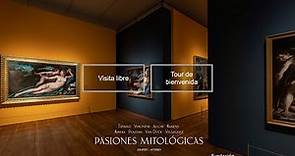 El Museo Nacional del Prado lanza su primera visita virtual en español e inglés