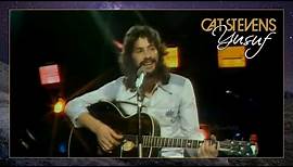 Yusuf / Cat Stevens - Wild World (Live, 1971)