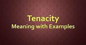Tenacity Meaning with Examples