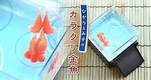 【一田eShop🐠療癒玩具】TOMY TAKARA 太陽能觀賞金魚