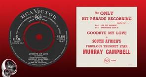 Murray Campbell - Goodbye my love (Il silenzio)