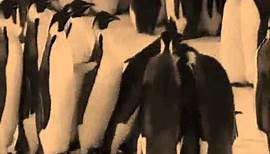 Erhard Bauschke - Pinguin Swing (German swing 1938)