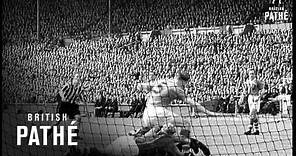 The Cup Final (1955)