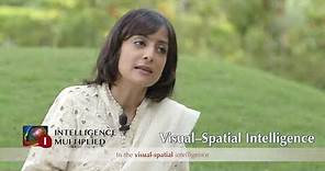 Visual-Spatial Intelligence