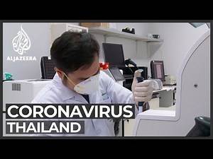 Virus Viral Mixed results in testing HIV drugs against coronavirus
Corona Covid 19 arsip sumber internet by 08123453855 Pengacara
Balikpapan Samarinda