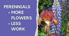 Perennials made easy - how to choose and grow the best plants for your borders