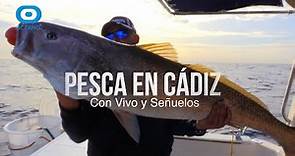 Pesca en Cádiz con vivo y señuelos, Documental en el que aprenderemos técnicas para grandes piezas.