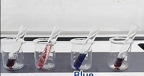 Colourful Equilibrium Experiment | Cobalt Complex Ions