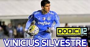Vinicius Silvestre ● Goleiro ● Palmeiras