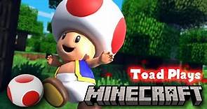 Toad Plays: MINECRAFT