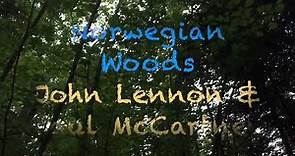 NORWEGIAN WOOD - John Lennon & Paul McCartney* Gentle Resonance A 432 Hz* Yvonne Timoianu - Cello