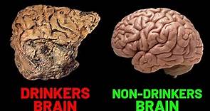 How Alcohol Affects The Human Brain (SCIENCE EXPLAINED)