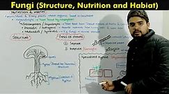 Kingdom Fungi (Fungi Structure, habitat and Nutrition)