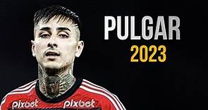 Erick Pulgar 2023 • Flamengo - Amazing Skills,Goals & Assists | HD