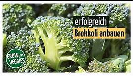 Brokkoli erfolgreich anbauen | Gemüseanbau im Garten @Gartengemüsekiosk