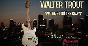 Walter Trout - "Waiting For The Dawn" (Official Music Video)