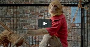 Trailer Monkey Business