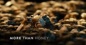 More than Honey (2014) Documentary