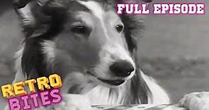 Stablemates | Lassie | Full Episode | Old TV Show | Retro Bites
