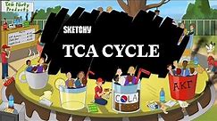 Learn the TCA Cycle! (Full Lesson) | Sketchy MCAT | Biochemistry