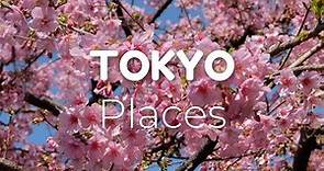 Must See Top 7 Best Places To Visit Tokyo in 2023 - Travel Video
