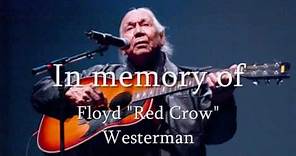 Floyd "Red Crow" Westerman -Just Another Holy Man (Live)