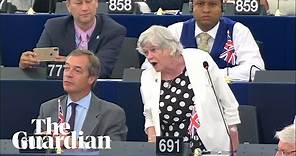 Ann Widdecombe likens Brexit to the emancipation of slaves in EU parliament speech
