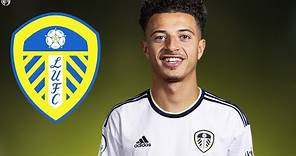 Ethan Ampadu - Welcome to Leeds United 2023 - Best Skills & Tackles | HD