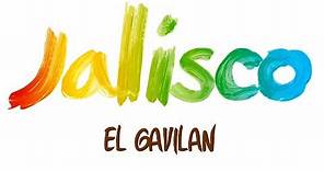 Jalisco - El Gavilan