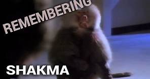 Remembering: Shakma (1990)