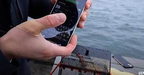 iPhone 12、iPhone 11 防水測試，比官方標示的深度多一倍也沒事，兩台都存活下來