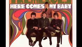 THE TREMELOES Here Comes My Baby 1967 HQ