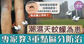 【蚊蟲叮咬】天氣潮濕蚊蠓為患　專家教3大重點區分防治 - 香港經濟日報 - TOPick - 健康 - 醫生診症室