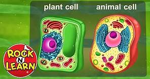 Life Science for Kids - Photosynthesis, Cells, Food Chains & More