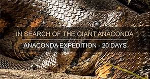 IN SEARCH OF THE GIANT ANACONDA