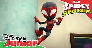 Marvel Spidey y su superequipo: Spin el artista | Disney Junior Oficial