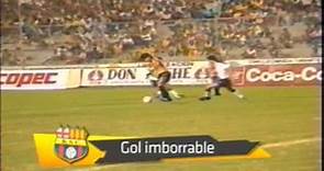Golazo de Rubén Darío Insúa, Copa Libertadores 1991