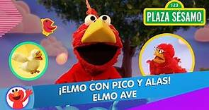 Plaza Sésamo: El musical de Elmo Ave