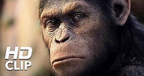 Apes Revolution - Il pianeta delle scimmie | La storia di Caesar | Clip HD | 20th Century Fox