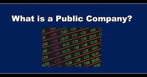 What is a Public Company?