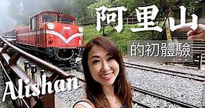 阿里山的初體驗🚂搭小火車看超巨大神木！入住阿里山賓館 ll Alishan Taiwan