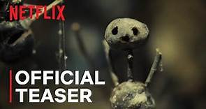 The Chestnut Man | Official Teaser | Netflix