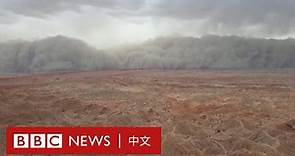 中國青海發生沙塵暴 巨大「沙牆」遮天蔽日－ BBC News 中文