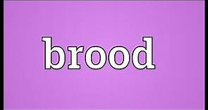 Brood Meaning