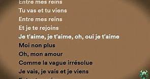 Serge Gainsbourg (feat. Jane Birkin) - Je t'aime..Moi non plus (Lyrics)