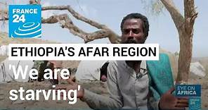'We are also starving' : Ethiopia's Afar region pleads for aid • FRANCE 24 English