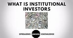 What is Institutional Investors