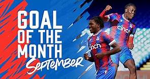 Crystal Palace Goal of the Month contenders: September 2022