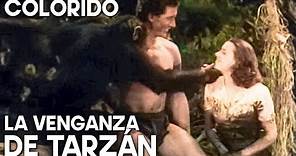 La venganza de Tarzán | COLOREADO | Aventura clásica de Tarzán | Español