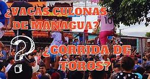 ¿VACAS CULONAS DE MANAGUA? ¿CORRIDA DE TOROS?🐃 Costumbres y tradiciones 🇳🇮🎆🤠🔥#santodomingodeguzman